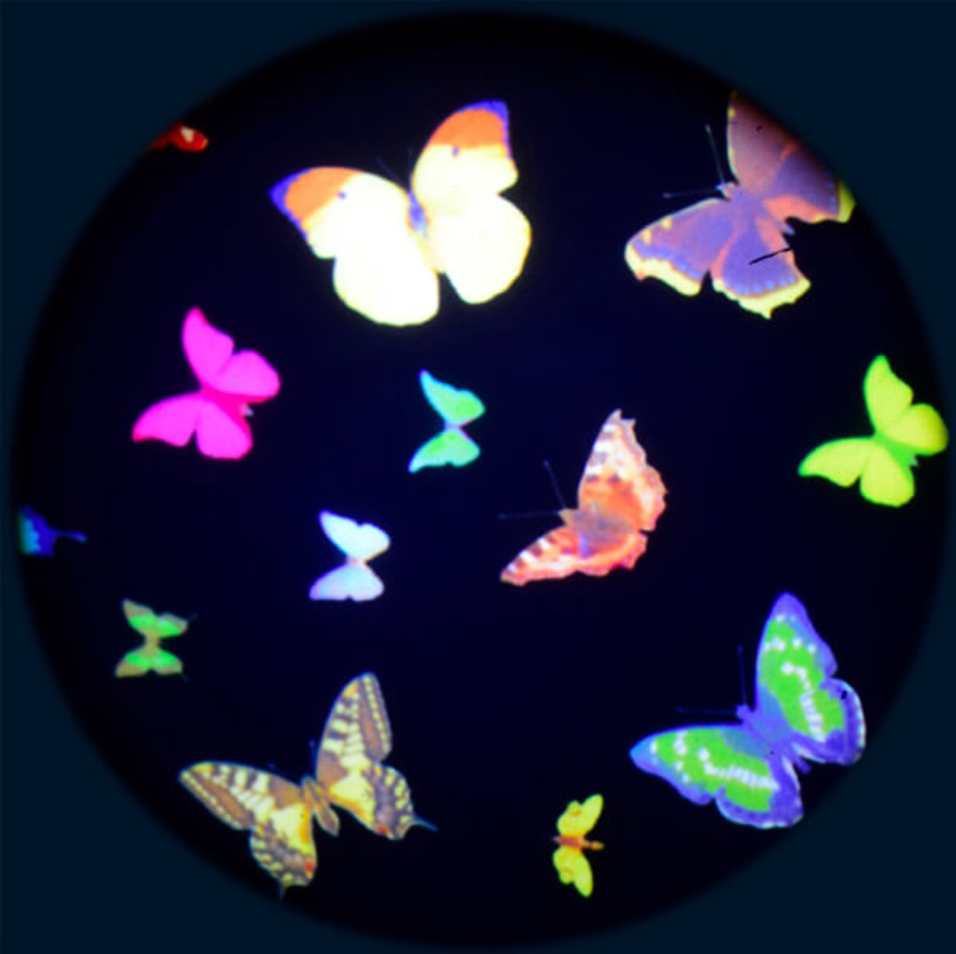 Butterflies Effect
